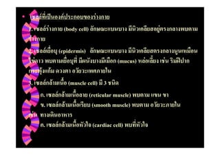 F                       F                  F
1.                       FF              (body cell)                            F
 F
2.                       F         (epidermis)
         F                                                        (mucus)   F       F
                 F             F
3.                           F F        (muscle cell) 3
                     .             F F           (reticular muscle)
                     .              F F           (smooth muscle)
     F
                     .             F F                 (cardiac cell)
 