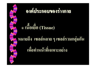 F              F

    (Tissue)
     F                 F   F
         F         F
 