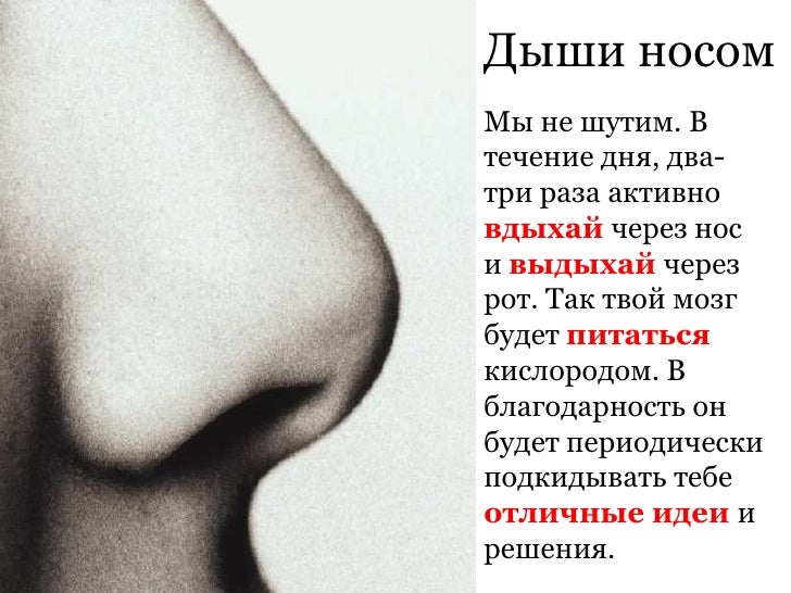 Учебник по обж за 5 класс читать онлайн