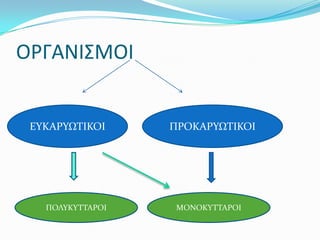 ΟΡΓΑΝΙ΢ΜΟΙ


 ΕΤΚΑΡΤΩΣΙΚΟΙ     ΠΡΟΚΑΡΤΩΣΙΚΟΙ




   ΠΟΛΤΚΤΣΣΑΡΟΙ    ΜΟΝΟΚΤΣΣΑΡΟΙ
 