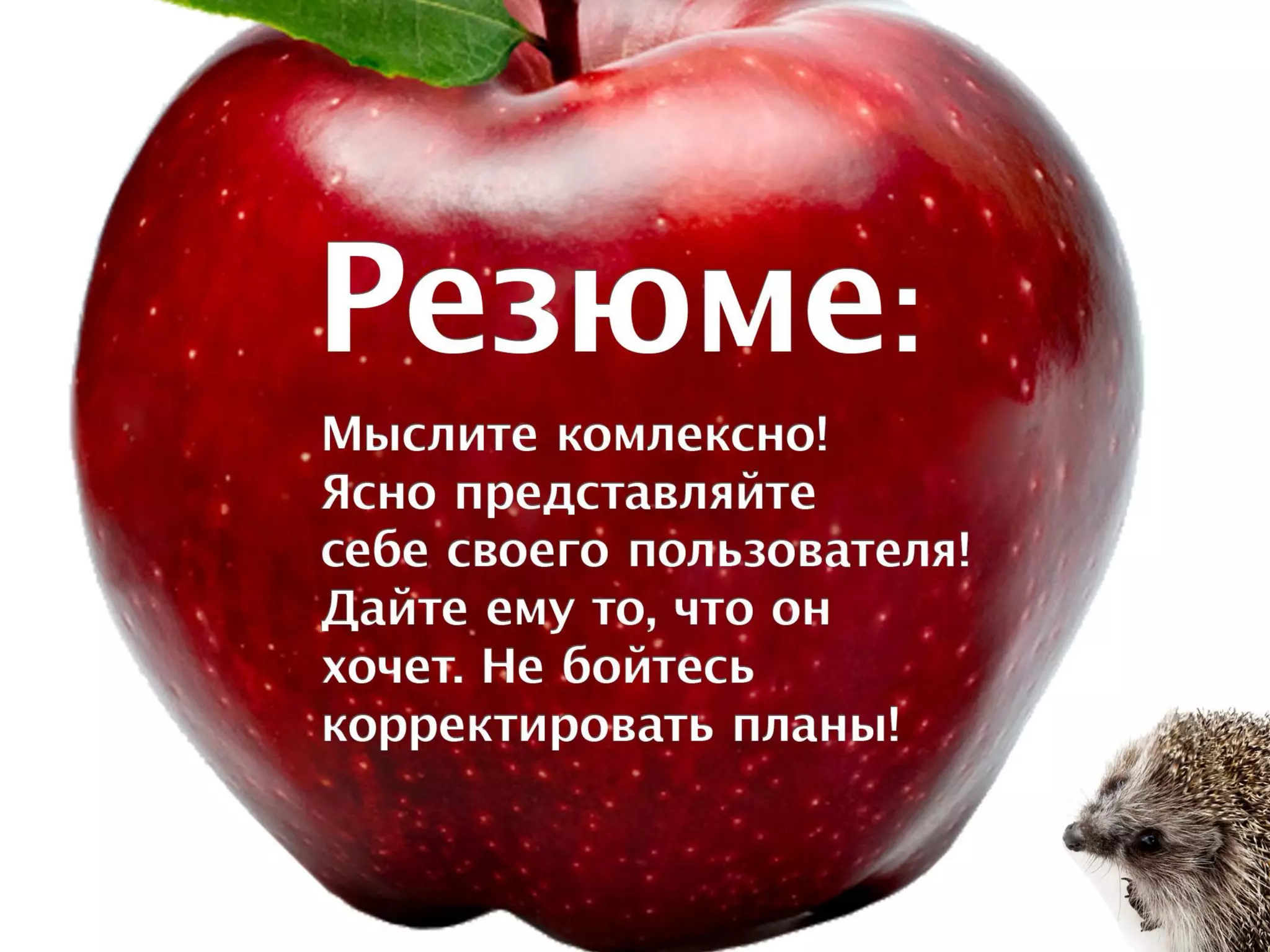 Типичные ошибки продвижения проекта в Интернете — Максим Спиридонов