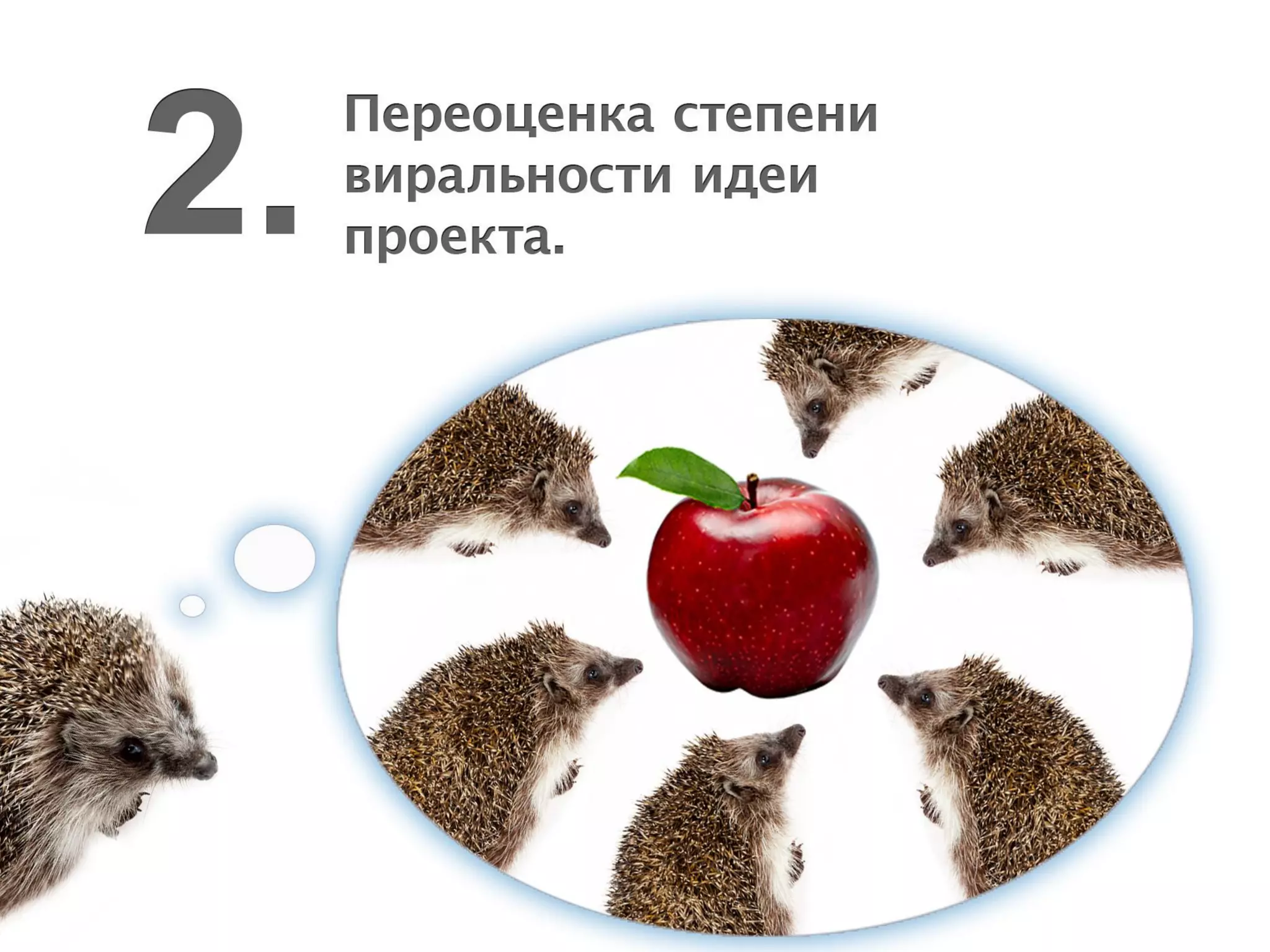 Типичные ошибки продвижения проекта в Интернете — Максим Спиридонов