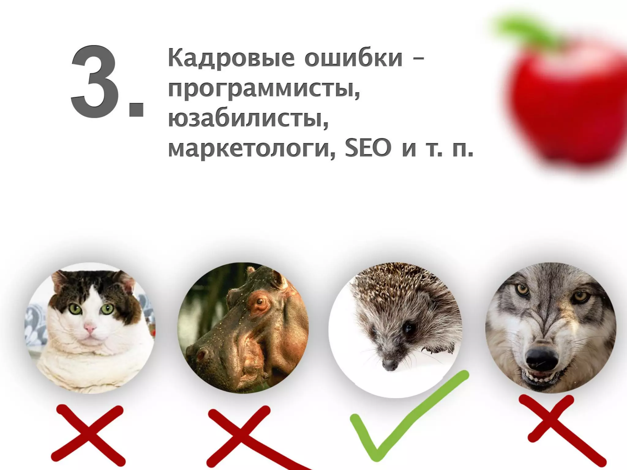 Типичные ошибки продвижения проекта в Интернете — Максим Спиридонов