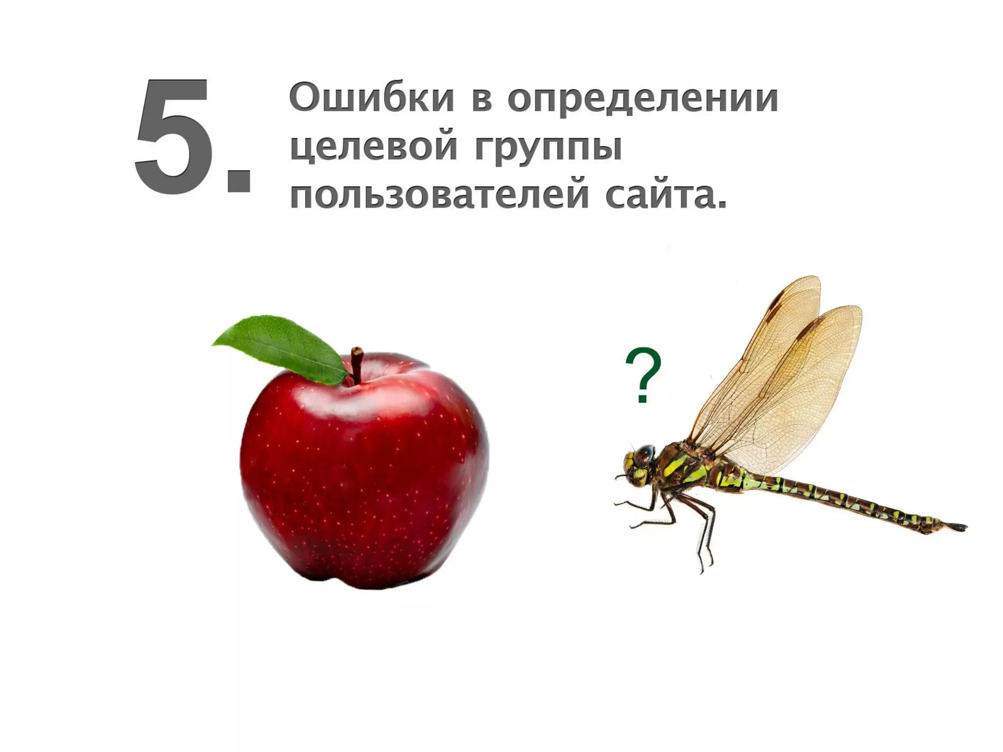 Типичные ошибки продвижения проекта в Интернете — Максим Спиридонов