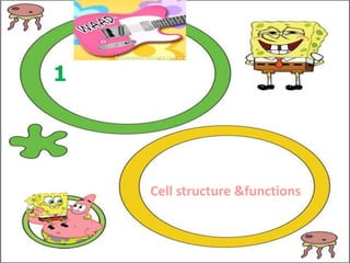 1




    Cell structure &functions
 