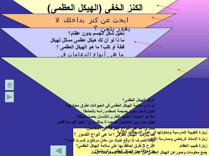 الهرم المقلوب1