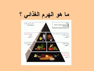 ما   هو   الهرم   الغذائي   ؟ 