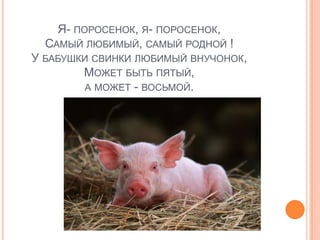 Я- ПОРОСЕНОК, Я- ПОРОСЕНОК,
  САМЫЙ ЛЮБИМЫЙ, САМЫЙ РОДНОЙ !
У БАБУШКИ СВИНКИ ЛЮБИМЫЙ ВНУЧОНОК,
        МОЖЕТ БЫТЬ ПЯТЫЙ,
        А МОЖЕТ - ВОСЬМОЙ.
 