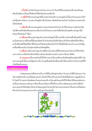 5. ผึ้งกัดใบ จะกัดกินใบกุหลาบในชวงเวลากลางวัน สังเกตไดที่รอยแผลมักจะเปนรอยเหมือนถูก
เฉือนดวยมีดคมๆ เปนรูปโคงปองกันไดเชนเดียวกับแมลงปกแข็ง
               6. เพลี้ยไฟ เปนแมลงปากดูด มีสีนําตาลดํา ตัวออนสีขาวนวลจะดูดกินน้ําเลี้ยงจากใบและดอก ทําให
                                                ้
ดอกที่ถกทําลายไมบาน ระบาดมากในฤดูรอน ปองกันโดยการฉีดพนดวยสารเคมี เชน โตกุไทออน คลอเดนหรือ
         ู
นิโคตินซัลเฟต
              7. เพลี้ยแปง เปนแมลงปากดูดมักเกาะกินตามใบออนหรืองามใบ ทําใหใบหงิกงอ ควรปองกันกําจัด
โดยใชสารเคมีกําจัดแตตองผสมสารเคลือบใบลงไป ดวยเพราะบนตัวเพลี้ยแปงจะมีขนปุยสีขาวปกคลุม ซึ่งมี
ลักษณะเปนมันจับน้ํา ไดยาก
             8. เพลี้ยหอย เปนแมลงปากดูด มักเกาะทําลายโดยดูดน้ําเลี้ยงจากลําตน จะสังเกตเปนเปนจุดสีน้ําตาลอยู
บนกิ่งของกุหลาบ เพลี้ยหอยนี้มีลักษณะพิเศษ คือ ตัวของมันจะมีเปลือกหุมหนาทําใหแมลงซึมเขาถึงตัวไดยาก
ฉะนั้นวิธกําจัดที่ไดผลดีก็คอ ใชน้ํามันทาหรือฉีดพนเคลือบตัวมันไว ทําใหเพลียไมมีทางหายใจ และตายในที่สุด
           ี                   ื                                              ้
แตเมื่อเพลี้ยตายแลวจะไมหลุดจากลําตนจะยังติดอยูทเี่ ดิม
             9. เพลี้ยออน เปนแมลงปากดูด ทําลายพืชตรงบริเวณสวนที่เปนยอดออนและใบออน ทําใหใบเหลือง
และรวงหลน ควรปองกันกําจัดโดยใชสารเคมี เชน ฟอสดริน เอนดริน และพาราไธออน เปนตน
             10. แมงมุมแดง เปนแมงชนิดหนึ่งที่ไมใช แมลง ตัวมีขนาดเล็กมากเห็นเพียงจุดสีแดงอยูตามใตใบ โดย
                                                                                                
จะเกาะและดูดน้ําเลี้ยงจากใบที่ถูกทําลายนั้น ปรากฎเปนจุดสีเหลืองซึงมองเห็นไดบนหลังใบ สําหรับสารเคมีที่ใช
                                                                    ่
กําจัดไดผลคือ เคลเทน


            การตัดดอกกุหลาบเพื่อจําหนายนั้น ควรใหมกิ่งเหลืออยูอยางนอย 2 กิ่ง เสมอ (กิ่งที่มีใบยอยครบ 5 ใบ)
                                                    ี
ไมควรตัดชิดโคนกิ่ง และเมือตัดดอกออกจาก ตนแลวใหรบแชกานดอกในน้ําทันทีเพื่อปองกันการสูญเสียน้ําจาก
                          ่                             ี
กิ่ง โดยทัวไป เกษตรกรนิยมตัดดอกในตอนบายและเย็น หรืออาจตัดในตอนเชาก็ได (เพื่อจะไดสงตลาดทันเวลา)
          ่
แตเนื่องจากดอกกุหลาบมีอายุการใชงานสั้นและกลีบดอก ก็ช้ําไดงาย ฉะนั้นการตัดดอกกุหลาบในชวงทียังไม    ่
เหมาะสมจะทําใหเกิดปญหาได เชน ถาตัดดอกตูมเกินไป ดอกก็จะไมบานและคอดอกจะโคงงองาย แตถาตัดดอก
ที่บานเกินไป ดอกกุหลาบจะบานเร็ว และมีอายุการปกแจกันสั้น
 