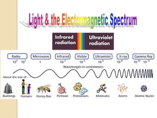 การวิเคราะห์ทางส๶ปกโทรสโกปีใช้จริง1