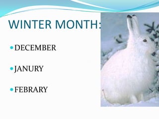 WINTER MONTH:
 DECEMBER

 JANURY

 FEBRARY
 