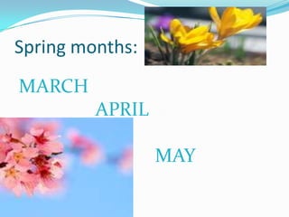 Spring months:
MARCH
         APRIL

MAY              MAY
 