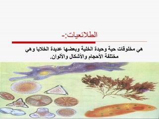 ‫الطالئعيات:-‬
‫هي مخلوقات حية وحيدة الخلية وبعضها عديدة الخاليا وهي‬
            ‫مختلفة األحجام واألشكال واأللوان.‬
 