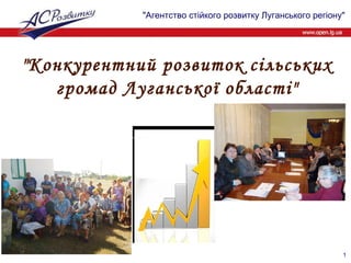 &quot;Конкурентний розвиток сільських громад Луганської області&quot; 