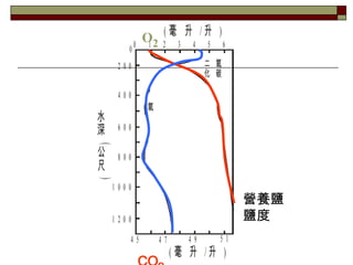 CO 2 IB} } O 2 