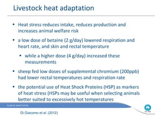 Livestock heat adaptation

    • Heat stress reduces intake, reduces production and
      increases animal welfare risk
    • a low dose of betaine (2 g/day) lowered respiration and
      heart rate, and skin and rectal temperature
          • while a higher dose (4 g/day) increased these
            measurements
    • sheep fed low doses of supplemental chromium (200ppb)
      had lower rectal temperatures and respiration rate
    • the potential use of Heat Shock Proteins (HSP) as markers
      of heat stress (HSPs may be useful when selecting animals
      better suited to excessively hot temperatures
CLIMATE ADAPTATION



           Di Giacomo et al. (2012)
 