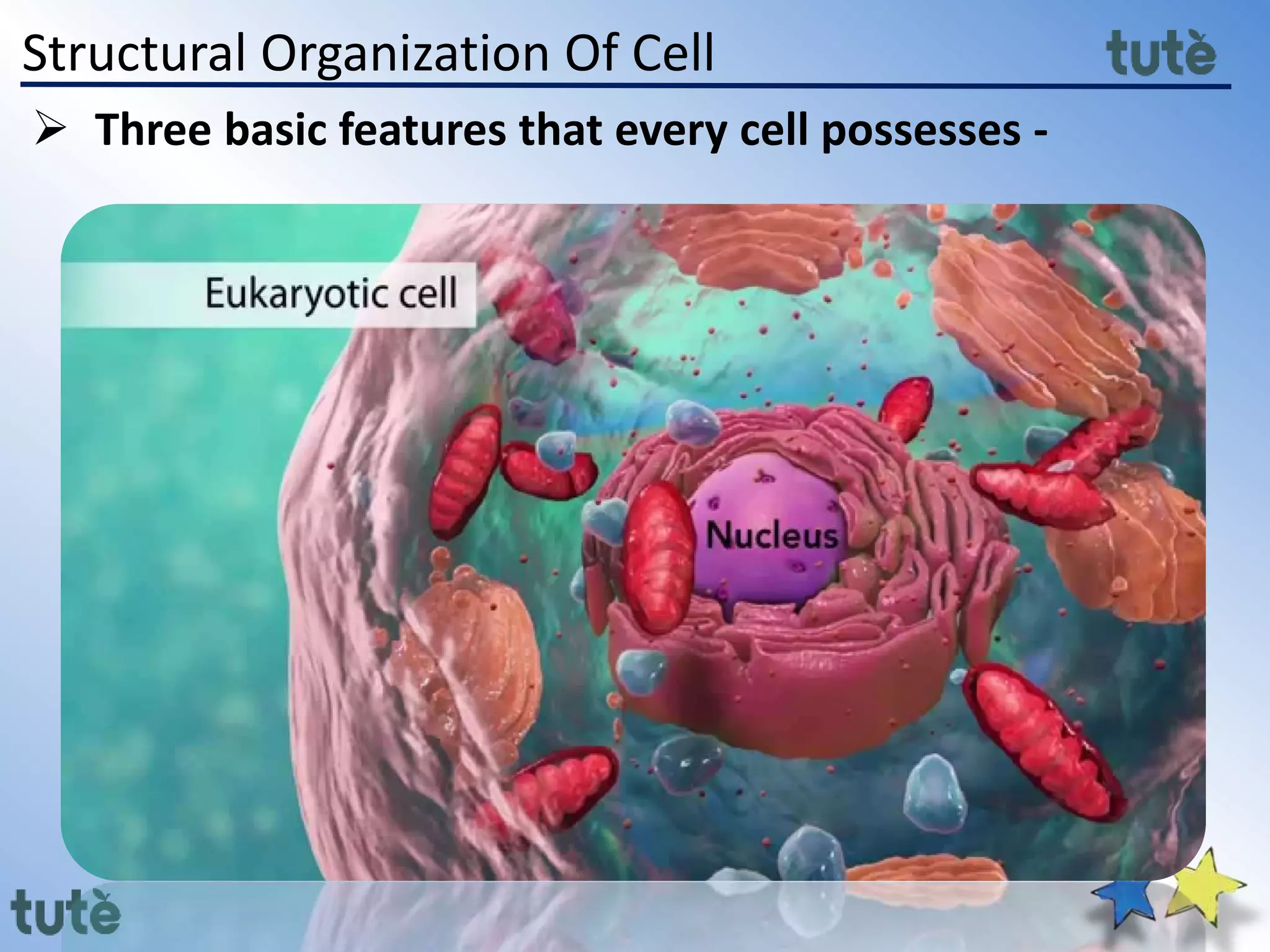 Structural Organization Of Cell
 Three basic features that every cell possesses -
 