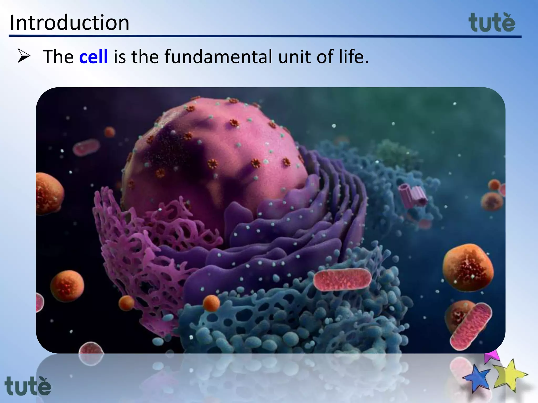 Introduction
 The cell is the fundamental unit of life.
 