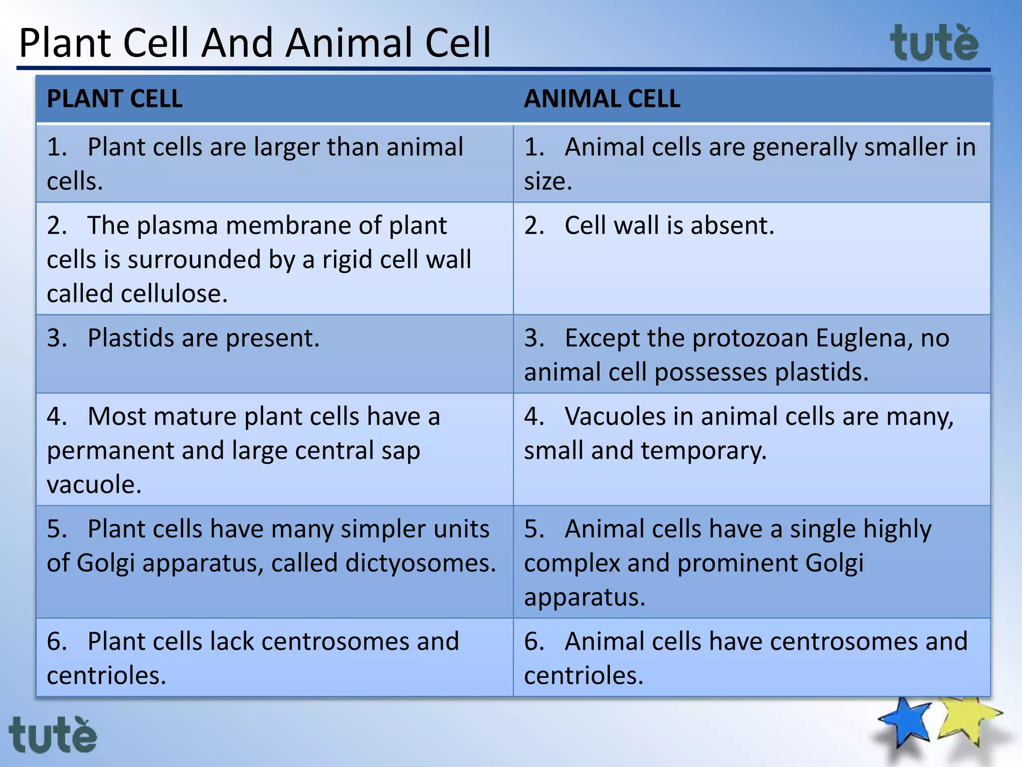 Plant Cell And Animal Cell
PLANT CELL ANIMAL CELL
1. Plant cells are larger than animal
cells.
1. Animal cells are generally smaller in
size.
2. The plasma membrane of plant
cells is surrounded by a rigid cell wall
called cellulose.
2. Cell wall is absent.
3. Plastids are present. 3. Except the protozoan Euglena, no
animal cell possesses plastids.
4. Most mature plant cells have a
permanent and large central sap
vacuole.
4. Vacuoles in animal cells are many,
small and temporary.
5. Plant cells have many simpler units
of Golgi apparatus, called dictyosomes.
5. Animal cells have a single highly
complex and prominent Golgi
apparatus.
6. Plant cells lack centrosomes and
centrioles.
6. Animal cells have centrosomes and
centrioles.
 