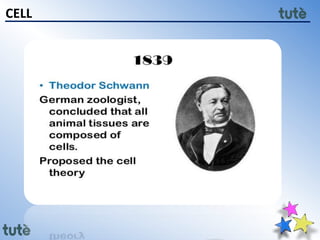11th class Biology - Cell Structure and Function | PPTX