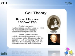 11th class Biology - Cell Structure and Function | PPTX