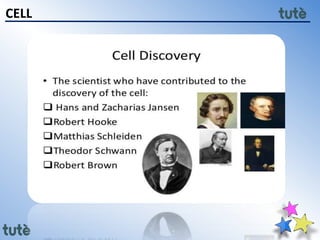 11th class Biology - Cell Structure and Function | PPTX