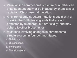  Variations in chromosome structure or number can 
arise spontaneously or be induced by chemicals or 
radiation. Chromosomal mutation. 
 All chromosome structure mutations begin with a 
break in the DNA, leaving ends that are not 
protected by telomeres, but are “sticky” and may 
adhere to other broken ends. 
 Mutations involving changes in chromosome 
structure occur in four common types: 
a. Deletions. 
b. Duplications. 
b. Inversions 
d. Translocations 
 