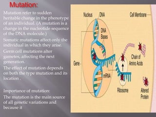 Mutation: 
Mutation refer to sudden 
heritable change in the phenotype 
of an individual. (A mutation is a 
change in the nucleotide sequence 
of the DNA molecule.) 
Somatic mutations affect only the 
individual in which they arise. 
Germ cell mutations alter 
gametes, affecting the next 
generation. 
The effect of mutation depends 
on both the type mutation and its 
location . 
Importance of mutation: 
The mutation is the main source 
of all genetic variations and 
because it 
 