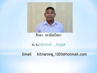 งานนำเสนอ1