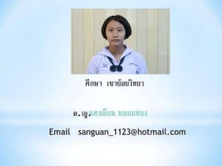 งานนำเสนอ1