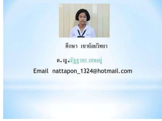 งานนำเสนอ1
