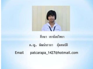 งานนำเสนอ1