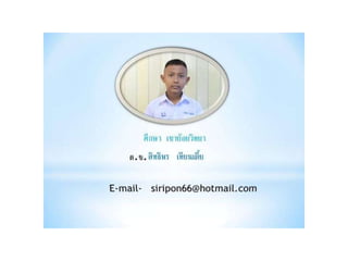 งานนำเสนอ1