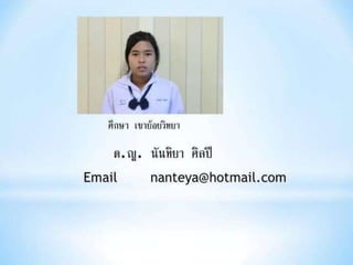 งานนำเสนอ1