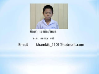 งานนำเสนอ1