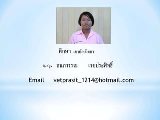 งานนำเสนอ1