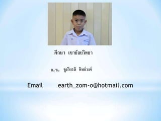 งานนำเสนอ1