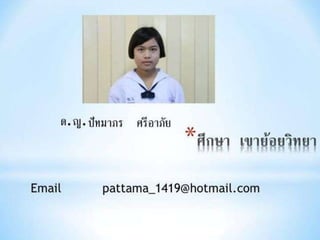 งานนำเสนอ1