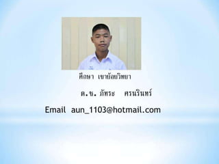งานนำเสนอ1