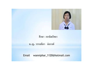 งานนำเสนอ1