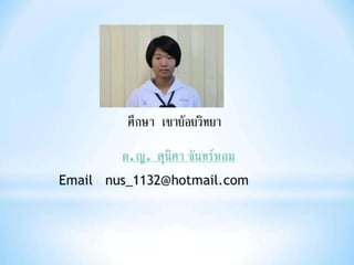 งานนำเสนอ1