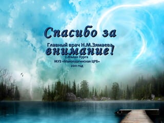 Актив 2012 год