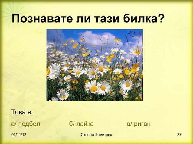 билки 1