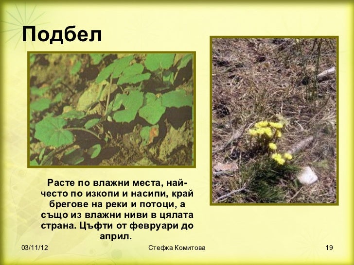 билки 1