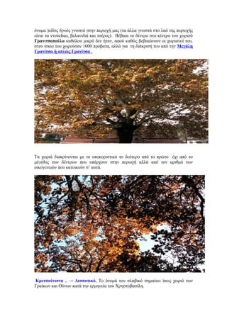 όνομα )είδος δρυός γνωστό στην περιοχή μας (τα άλλα γνωστά στο λαό της περιοχής
είναι τα ντούchκo, βελανιδιά και τσέρος). Βέβαια το δέντρο στο κέντρο του χωριού
Γρανιτσοπούλα καθόλου μικρό δεν ήταν, αφού καθώς βεβαιώνουν οι χωριανοί του,
στον ίσκιο του χωρούσαν 1000 πρόβατα, αλλά για τη διάκρισή του από την Μεγάλη
Γρανίτσα ή απλώς Γρανίτσα .




Τα χωριά διακρίνονται με το υποκοριστικό το δεύτερο από το πρώτο όχι από το
μέγεθος των δέντρων που υπάρχουν στην περιοχή αλλά από τον αριθμό των
οικογενειών που κατοικούν σ’ αυτά.




Κρετσούνιστα . → Δεσποτικό. Το όνομά του σλαβικό σημαίνει ίσως χωριό των
Γραίκων και Ούνων κατά την ερμηνεία του Χρηστοβασίλη.
 