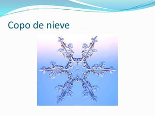 Copo de nieve