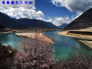 雅魯藏布江河谷




 迷
 人
 的
 西
 藏
 