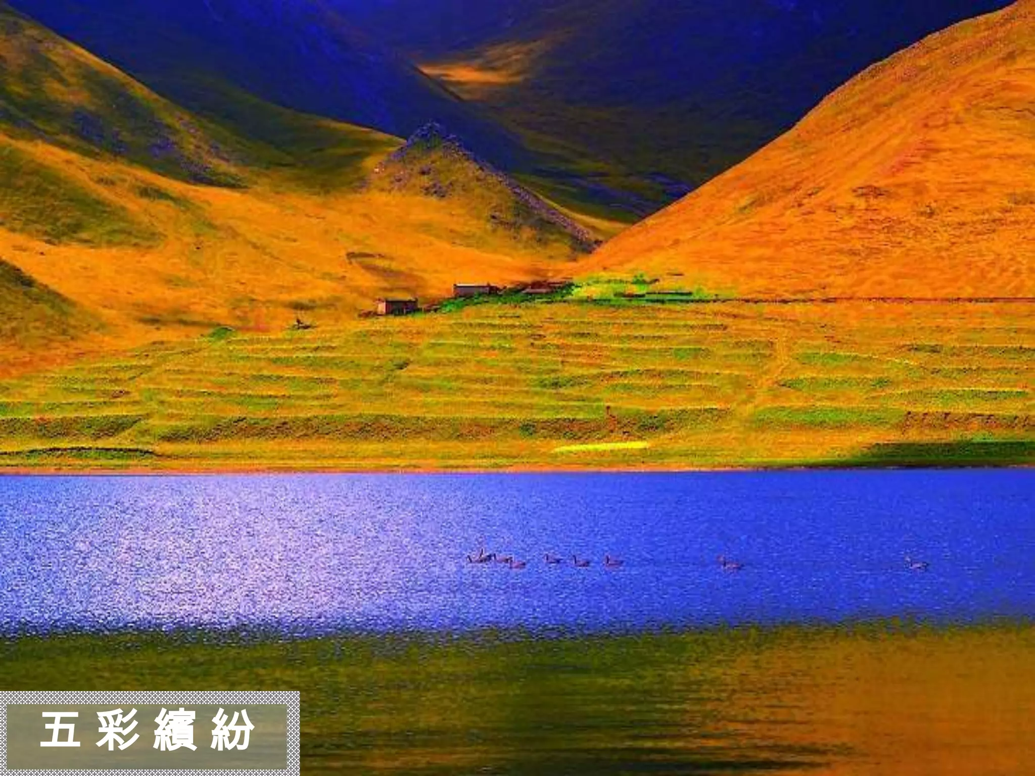 迷
 人
 的
 西
 藏


五彩繽紛
 