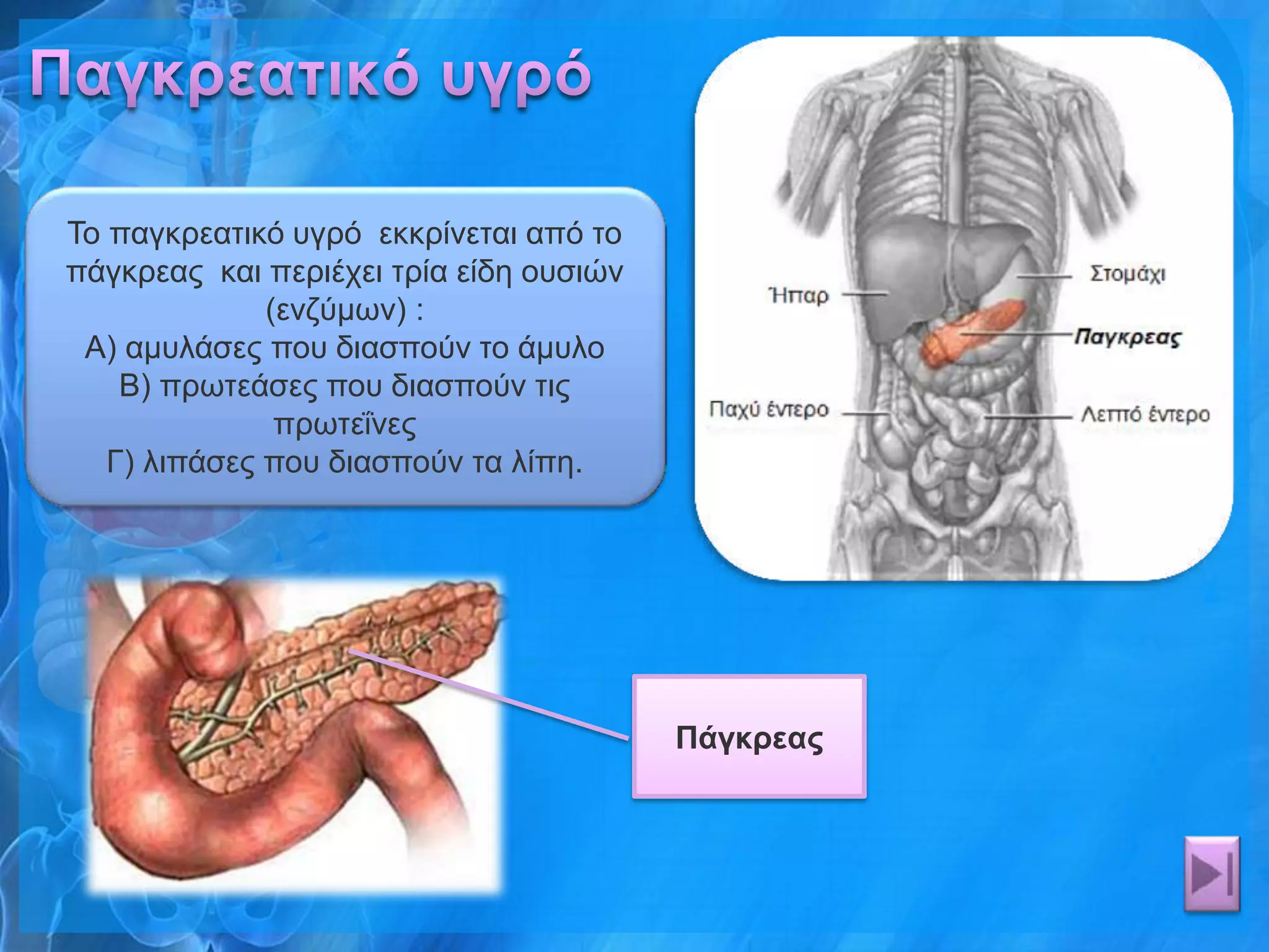 Τν παγθξεαηηθό πγξό εθθξίλεηαη από ην
πάγθξεαο θαη πεξηέρεη ηξία είδε νπζηώλ
              (ελδύκσλ) :
 Α) ακπιάζεο πνπ δηαζπνύλ ην άκπιν
    Β) πξσηεάζεο πνπ δηαζπνύλ ηηο
               πξσηεΐλεο
   Γ) ιηπάζεο πνπ δηαζπνύλ ηα ιίπε.




                                         Πάγκπεαρ
 
