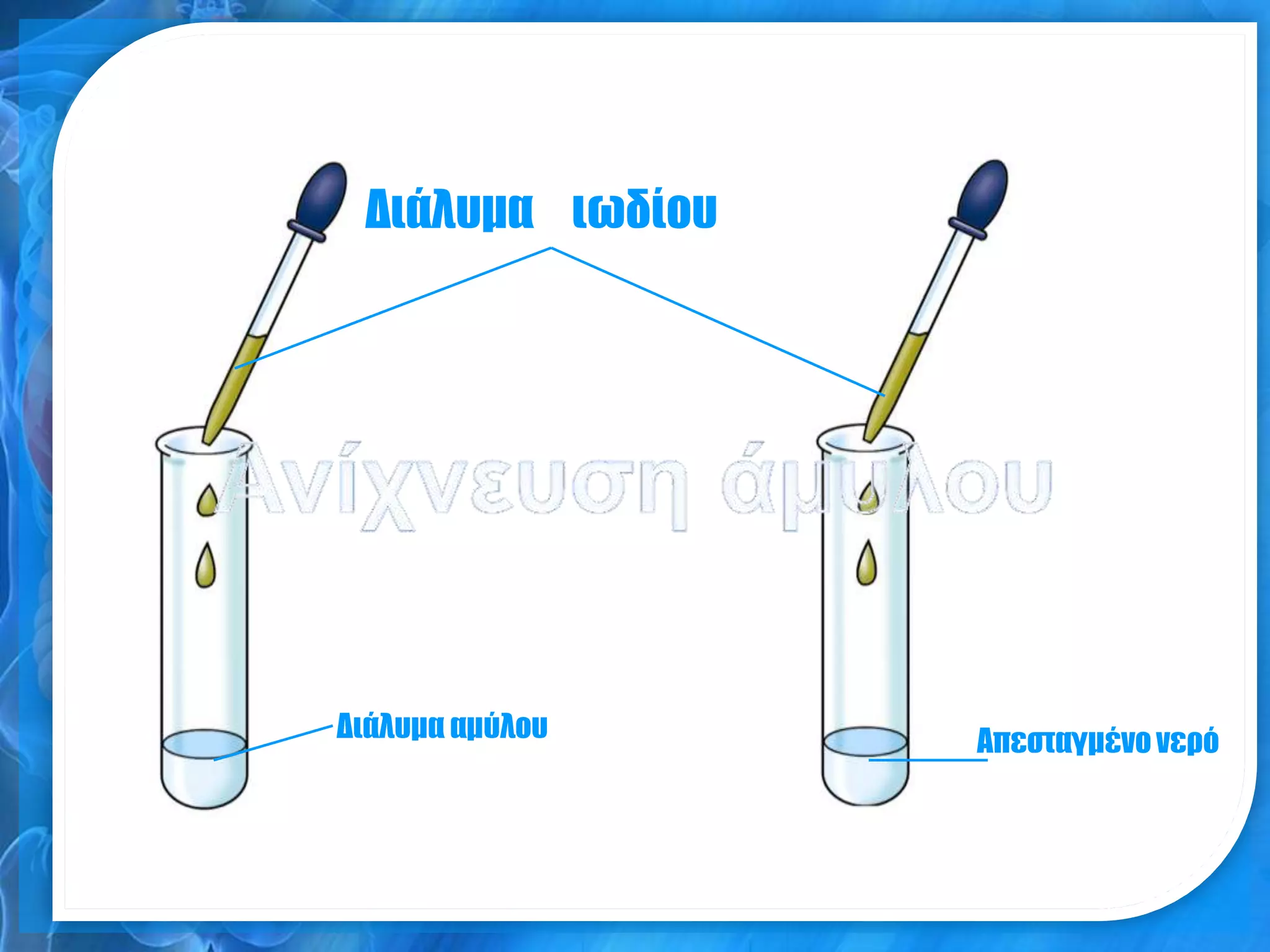 Διάλυμα ιωδίου




    Διάλυμα αμύλου        Απεσταγμένο νερό

A                     B
 